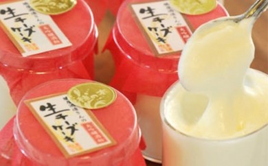 HA0117_酒粕生チーズケーキ10個詰合せ【 椋の木ムック】