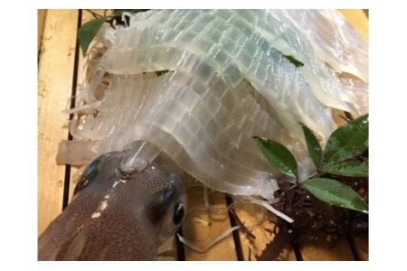 HA0128_絶品!鐘崎産｢ヤリイカ｣3杯【マルケイ水産】