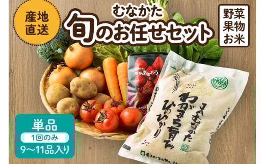 HA0263_【9～11品】むなかた旬のお任せセット(野菜・フルーツ・お米)【JAほたるの里】