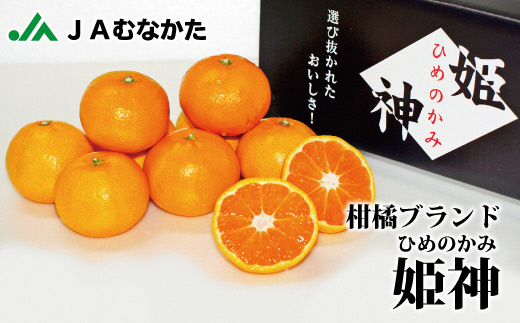 HA0269_急速冷凍！冷凍みかん JAむなかた柑橘ブランド｢姫神｣2kg 甘くておいしいみかん【JAほたるの里】