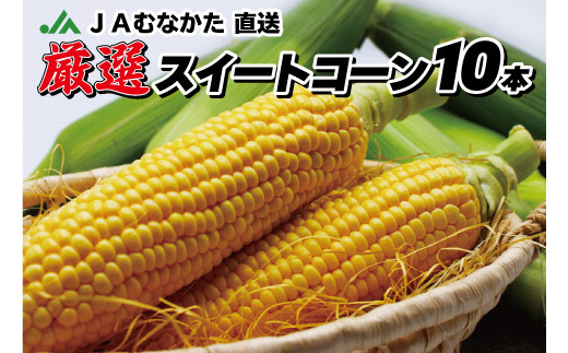 HA0272_JAむなかた直送「厳選スイートコーン」2Lサイズ以上 10本入り【JAほたるの里】
