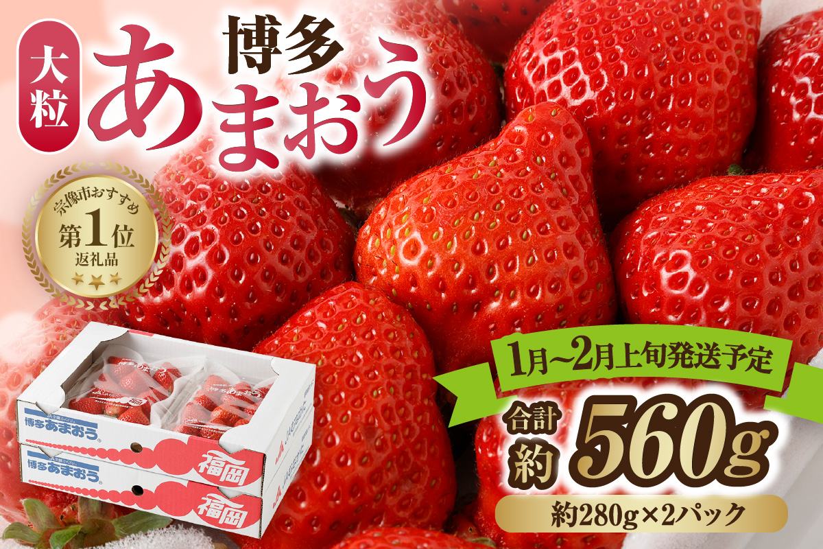 【アフター保証】大粒セレクト！大人気のあまおう 約280g×2パック【2026年1月～2月上旬お届け】【ほたるの里】_HA0276