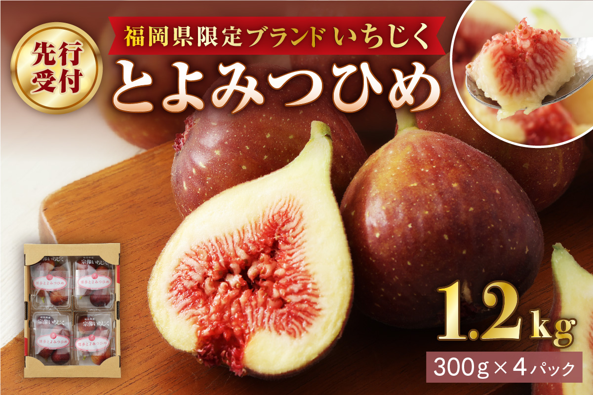 HA0278_プレミアムいちじく とよみつひめ　1.2kg【JAほたるの里】
