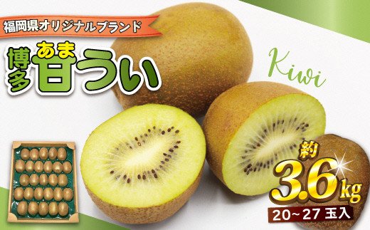 HA0434_【2025年収穫分】福岡県ブランド！キウイフルーツ「博多甘うぃ」1箱約3.6kg【ほたるの里】