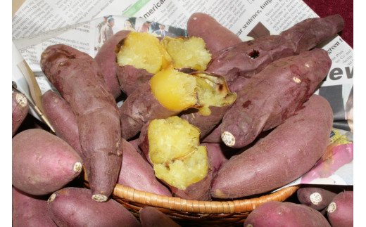 HA0492_石焼きいも「紅はるか」 糖度40度以上 九州産さつまいも【八豊】
