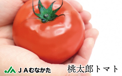 HA0572_桃太郎トマト4kg（18玉～24玉）【ほたるの里】