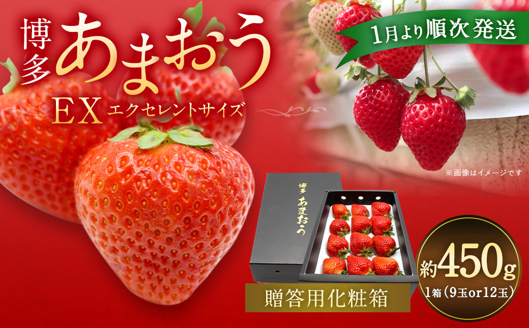 HA0752_1月より順次発送！「博多あまおう」EX　贈答用化粧箱　約450g 1箱【ほたるの里】