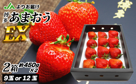 HA0753_1月より順次発送！「博多あまおう」EX　贈答用化粧箱　約450g 2箱【ほたるの里】