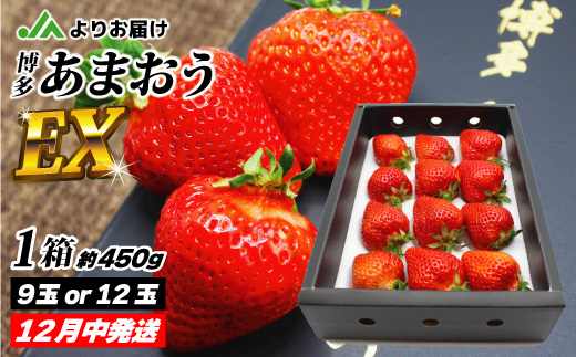 HA0754_12月発送！「博多あまおう」EX　贈答用化粧箱　約450g 1箱【ほたるの里】