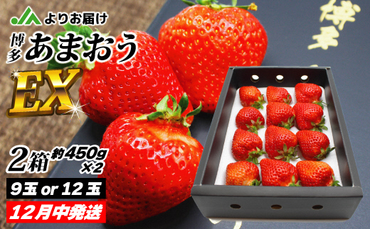 HA0755_12月発送！「博多あまおう」EX　贈答用化粧箱　約450g 2箱【ほたるの里】