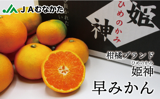 HA0887_JAむなかたブランド姫神「早味かん」5kg【JAほたるの里】
