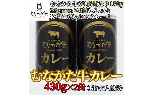 HA0937_【牧場こだわり】むなかた牛カレー2人前×2缶【すすき牧場】