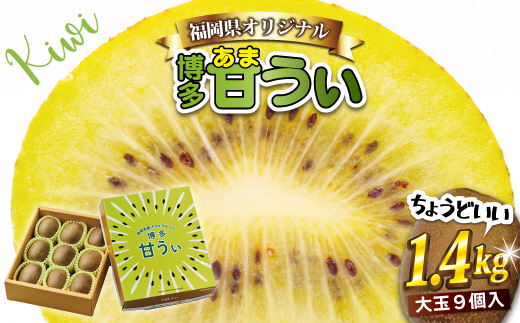 HA0943_【ギフト】福岡県ブランド！キウイフルーツ「博多甘うぃ」約1.4kg化粧箱入り【ほたるの里】