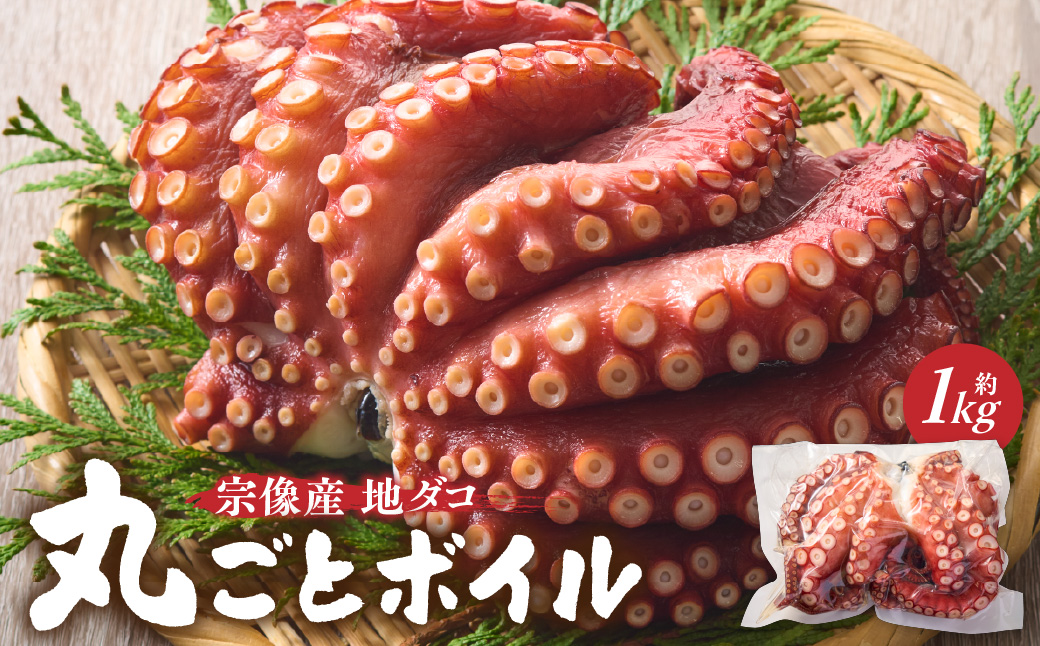 HA0997_宗像産地ダコ丸ごとボイル【約1kg】【マルケイ水産】