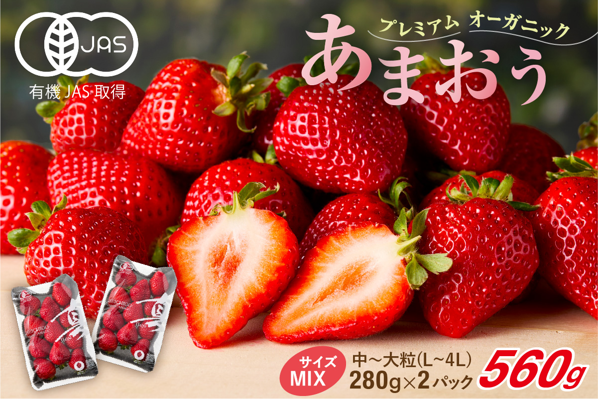 HA1116_オーガニックあまおう「いせいちご」2パック(280g×2)【伊世いちご畑】