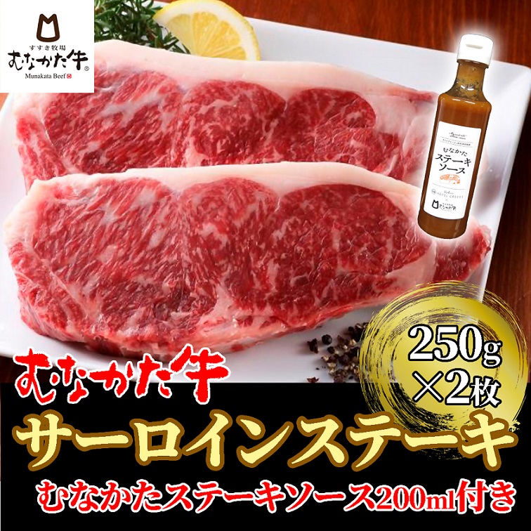 HA1261_むなかた牛サーロインステーキ 500g（250g×2枚）ステーキソース付き【すすき牧場】