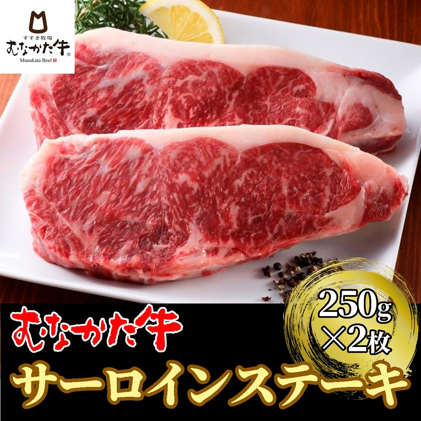 HA1263_むなかた牛サーロインステーキ 500g（250g×2枚）【すすき牧場】