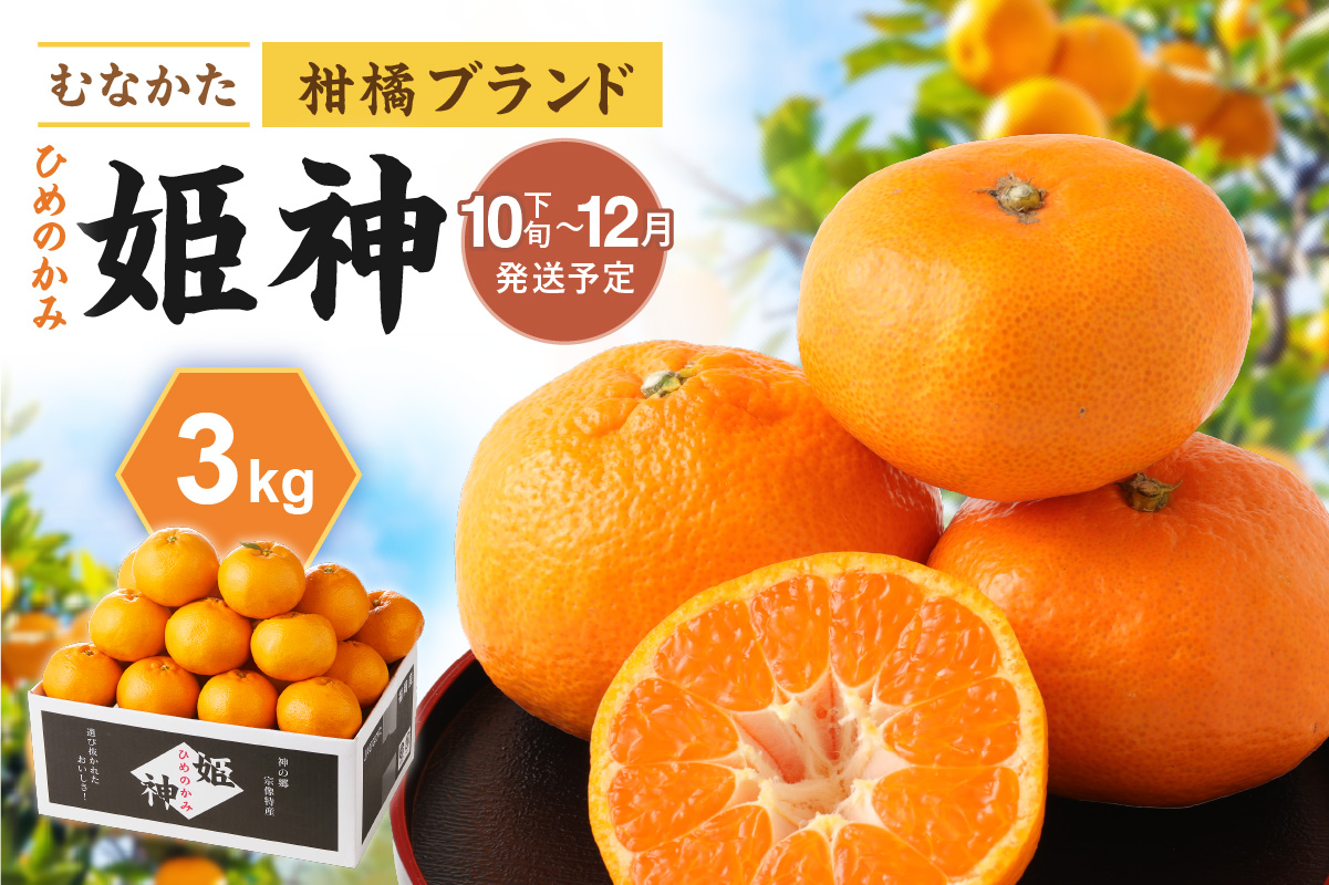 HA1346_JAむなかたブランド「姫神」3kg 【2025年10月下旬～12月発送】【JAほたるの里】