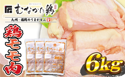 HA1415_宗像産ブランド鶏【むなかた鶏】モモ肉6kg（平飼い）【JAほたるの里】