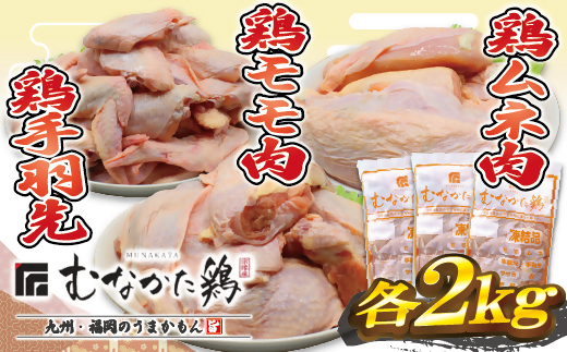 HA1424_宗像産ブランド鶏【むなかた鶏】食べ比べセット（モモ肉、ムネ肉、手羽先各2kg）（平飼い）【JAほたるの里】