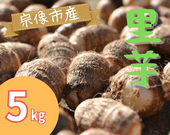 HA1432_循環型有機肥料で育った里芋（石川早生） 5kg【アグリCATS】