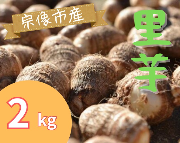 HA1433_循環型有機肥料で育った里芋（石川早生） 2kg【アグリCATS】