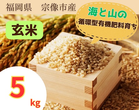 HA1439_循環型有機肥料で育った玄米【1】ゆめつくし【2】ぴかまる5kg【アグリCATS】