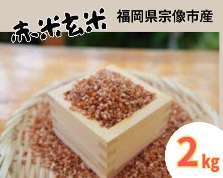 HA1441_循環型有機肥料で育った赤米玄米（もち米）2kg【アグリCATS】