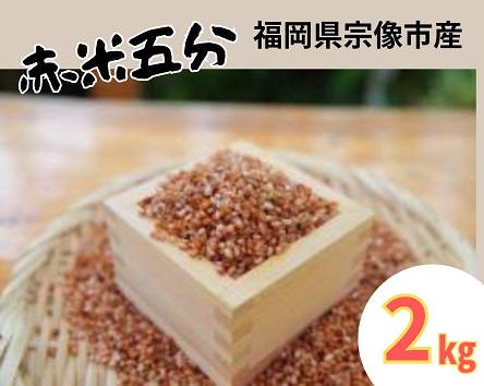HA1442_循環型有機肥料で育った赤米五分（もち米）2kg【アグリCATS】