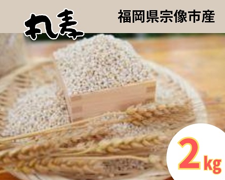 HA1443_ミネラル豊富な丸麦 2kg【アグリCATS】