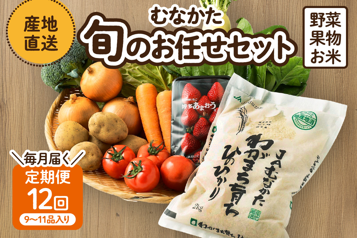 HB0029_【定期便／年12回／毎月お届け】むなかた旬のお任せセット(野菜・フルーツ・お米／9～11品)【ほたるの里】