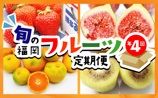 HB0087_【定期便/年４回】旬の福岡フルーツ定期便【ほたるの里】