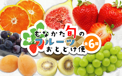 HB0090_【定期便/年6回】むなかた旬のフルーツ6回定期便【ほたるの里】