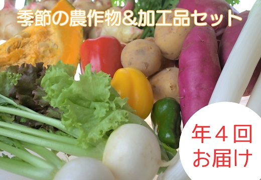 HB0115_【定期便/年4回 】有機肥料で育った季節の農産物&加工品のセット【アグリCATS】
