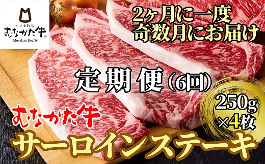 HB0120_【奇数月にお届け】むなかた牛サーロインステーキ 1kg（250g×4枚）定期便【すすき牧場】