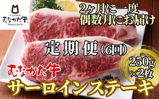 HB0121_【偶数月にお届け】むなかた牛サーロインステーキ 500g（250g×2枚）定期便【すすき牧場】