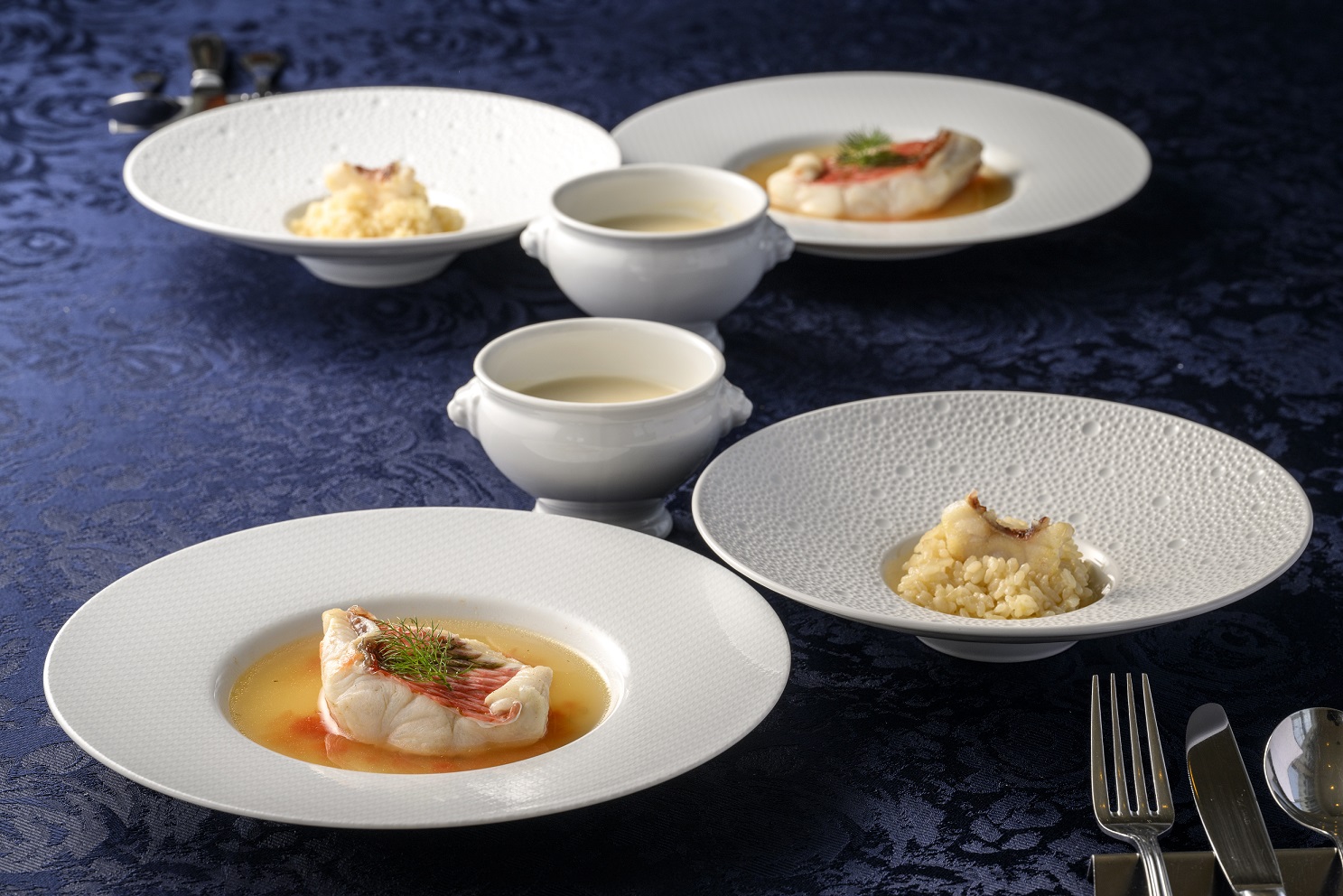 HA1485_フレンチ気分！フォン仕込のリゾット・スープ・鯛蒸しのセット【FRANCEYA】