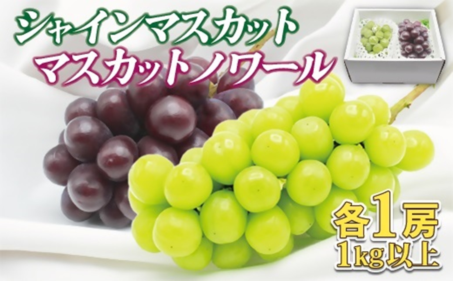 HA1475_JAむなかた厳選【むなかた産シャインマスカット・マスカットノワール】2房(1kg以上)【JAほたるの里】