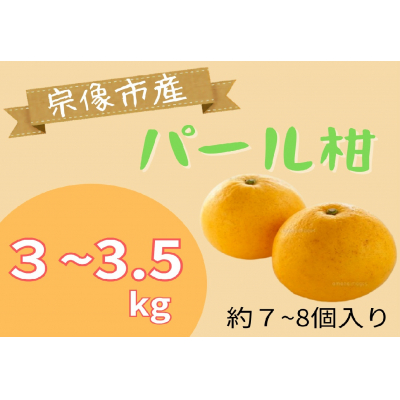 HA1470_循環型有機肥料で育ったパール柑　3～3.5kg【アグリCATS】