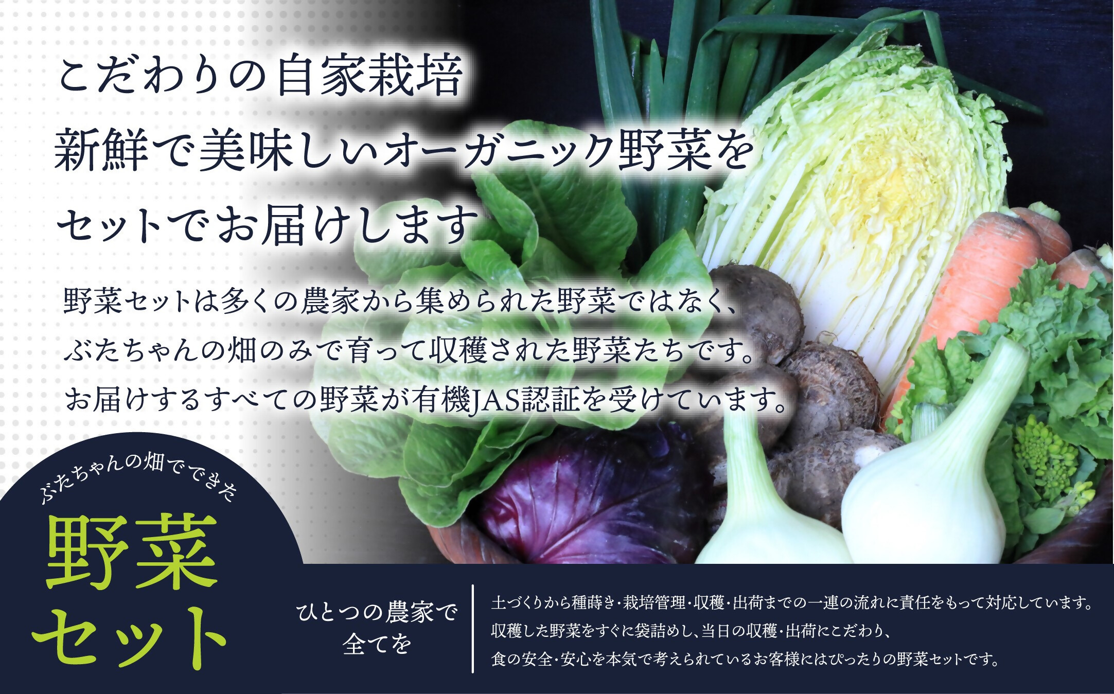 HB0162_【定期便/年12回/毎月お届け】有機JAS認証 旬の野菜セット 8品【ぶたちゃんの畑】