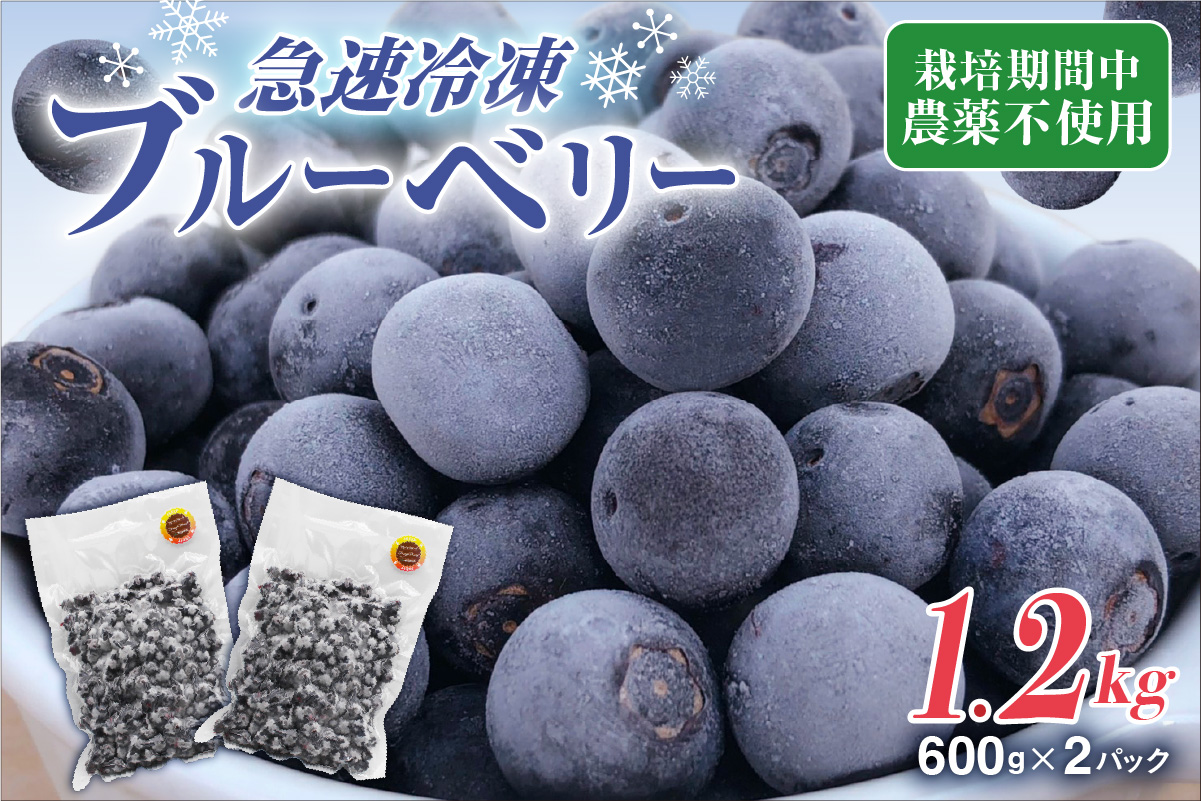 HA1517_有機栽培・栽培期間中農薬不使用！急速冷凍ブルーベリー 1.2kg 【JAほたるの里】