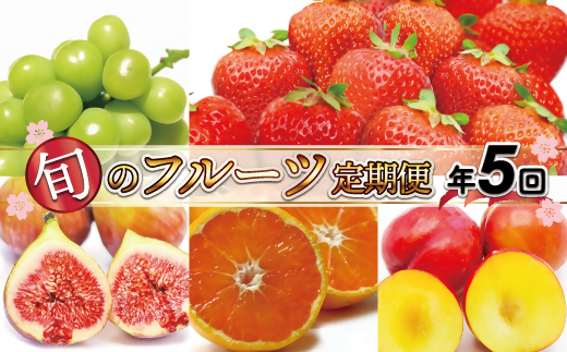 HB0164_【定期便/年5回】JAむなかた厳選！人気フルーツ定期便【JAむなかた ほたるの里】