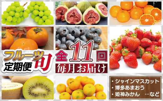 HB0171_【定期便/年11回】JAむなかた厳選！旬のフルーツ定期便【JAほたるの里】