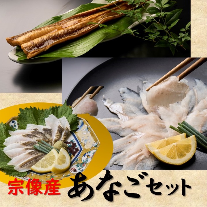 HA1518_あなごセット（あなご炙り刺し、あなご刺身、煮あなご）【宗像漁協】