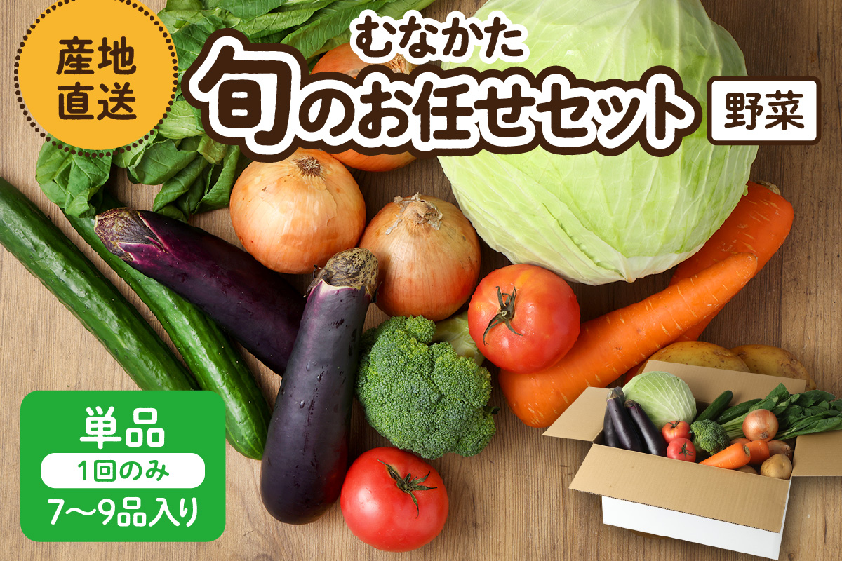 HA1569_むなかた旬のお任せセット(野菜) 7～9品【JAほたるの里】