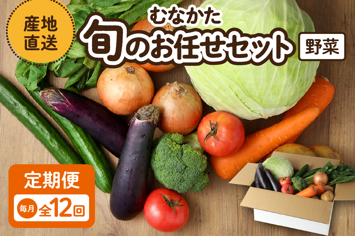 HB0173_【毎月お届け】むなかた旬のお任せセット(野菜)7~9品【JAほたるの里】