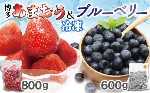 HA1653_冷凍あまおう800g ＆ 冷凍ブルーベリー600gセット 計1.4kg【JAほたるの里】