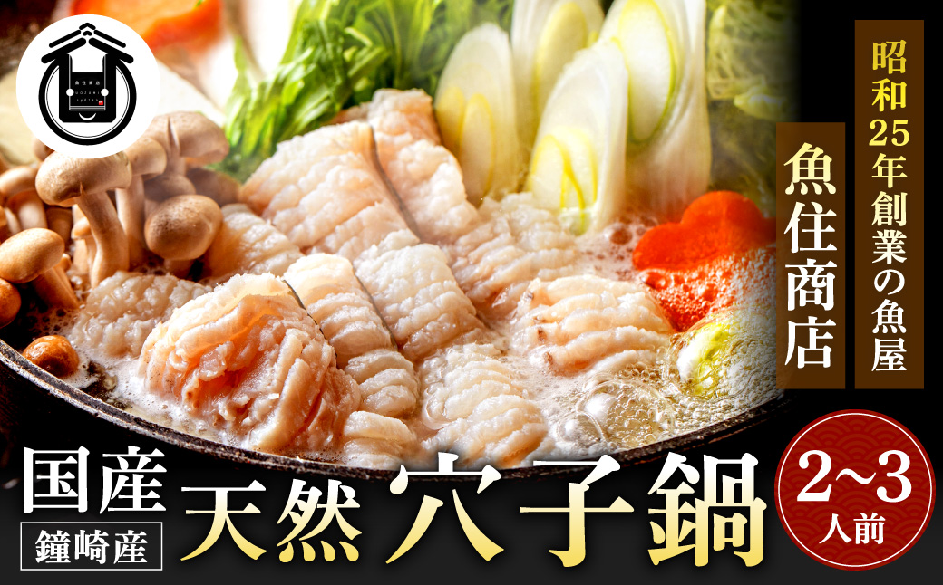 HA1488_鐘崎産天然穴子鍋セット(2〜3人前)【魚住商店】