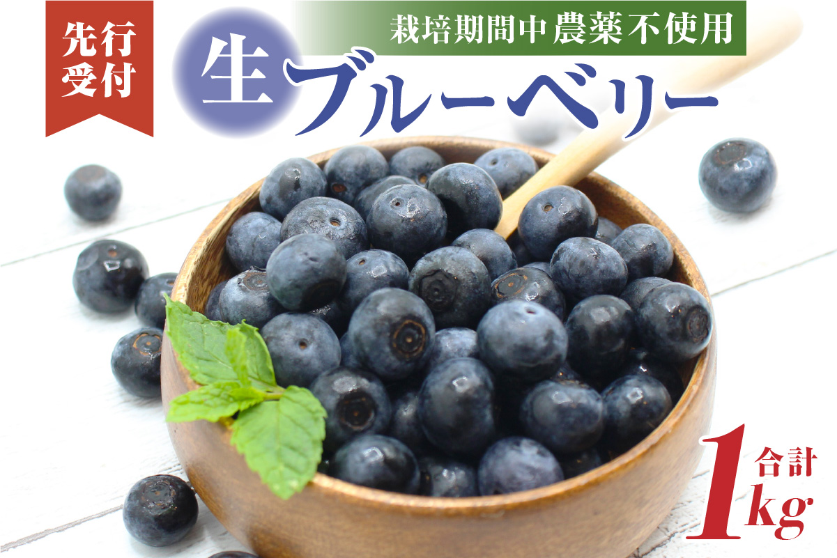 HA0273_有機肥料で丹精込めて栽培した「ブルーベリー」1kg 栽培期間中農薬不使用　国産【JAほたるの里】