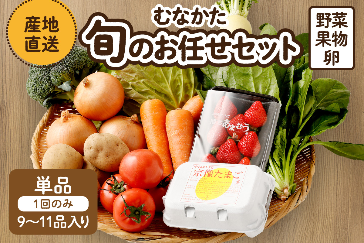 HA1712_むなかた旬のお任せセット（野菜・フルーツ・卵） 9～11品【JAほたるの里】